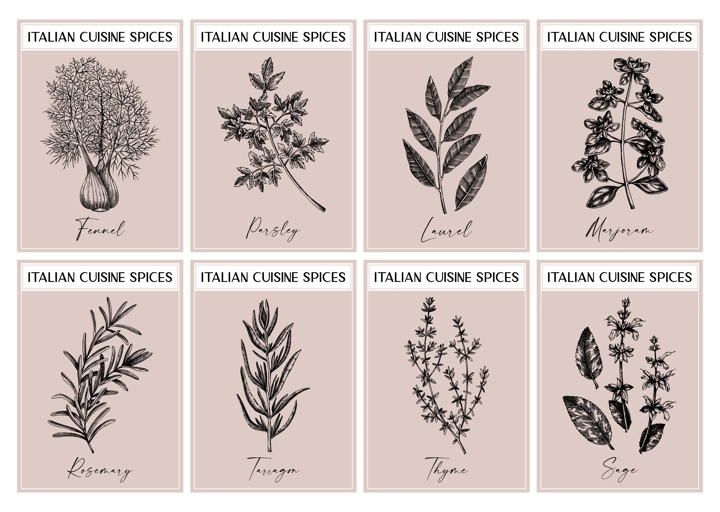 Italian spice labels set. Basil, mint, rosemary, parsley, sage, bay leaf, fennel  sketches. Herbs and spices hand-drawn vectot illustration. Vintage print design. NOT AI generated